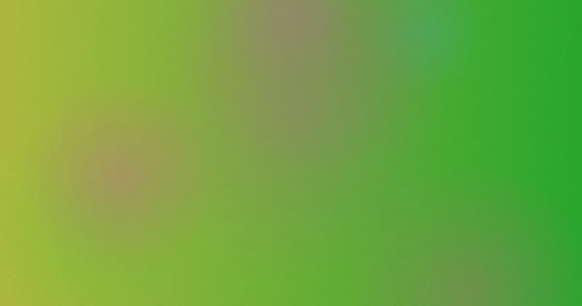 明里柚是什么？逐项说清